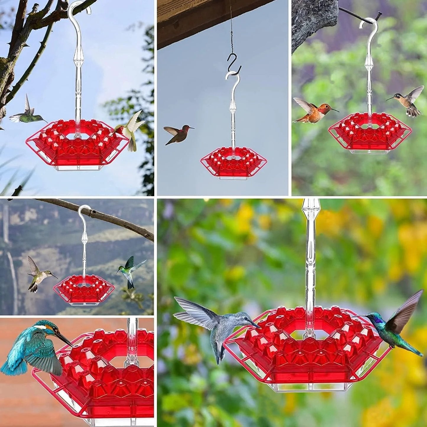Hummingbird Feeder