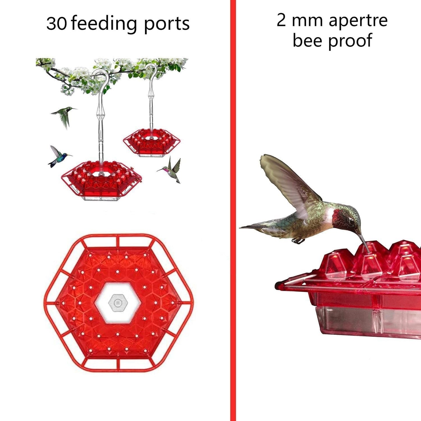 Hummingbird Feeder