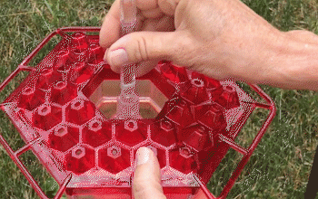 Hummingbird Feeder