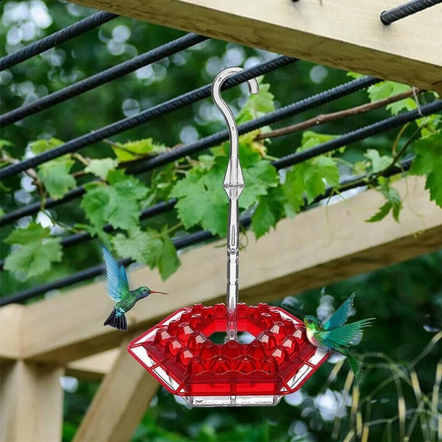 Hummingbird Feeder