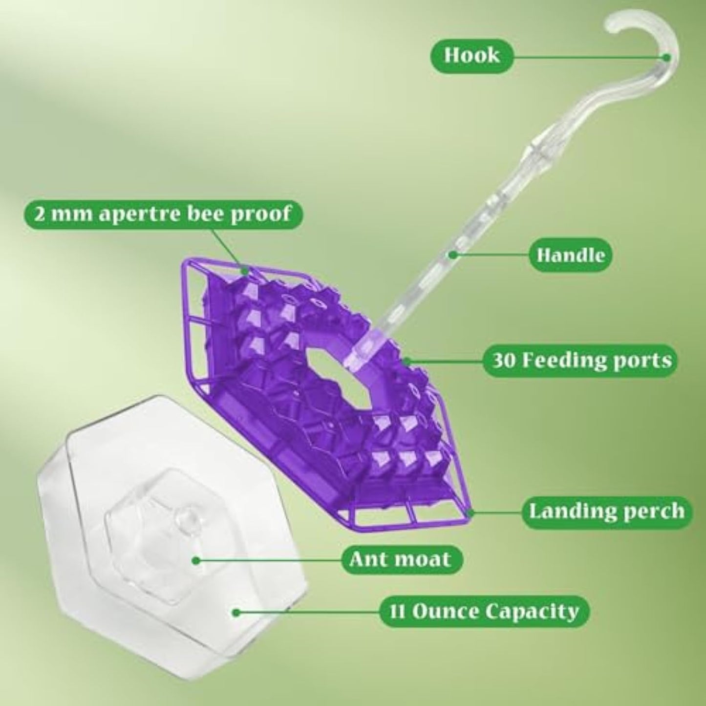 Hummingbird Feeder