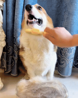 Self-Cleaning Flea Comb for Pets | Pet Grooming Brush