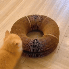Accordion Cat Scratcher