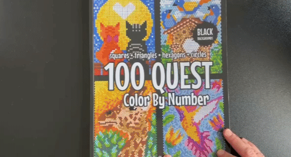 100 QUEST Color by Numbers Book