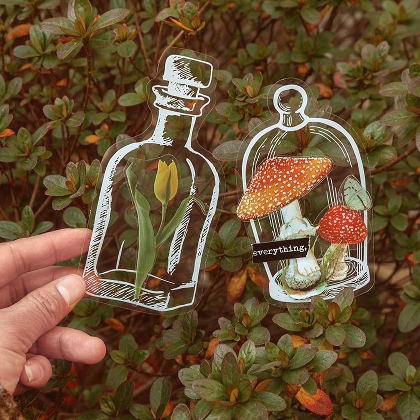 Laminating Pouches for DIY Botanical Bookmarks