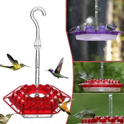 Hummingbird  Feeder