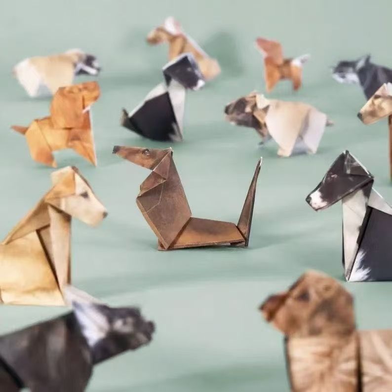 50 Sheets DIY Origami Cat Paper Kit