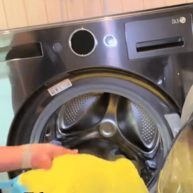 Shoe laundry bag