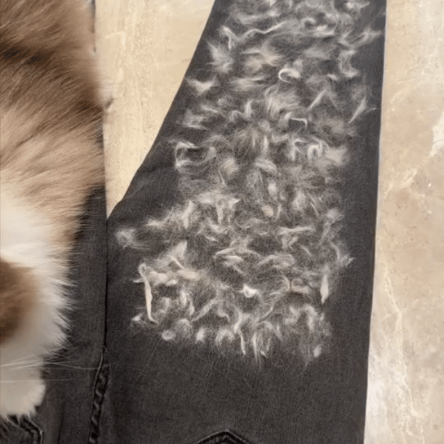 Magic Pet Fur Removal Glove
