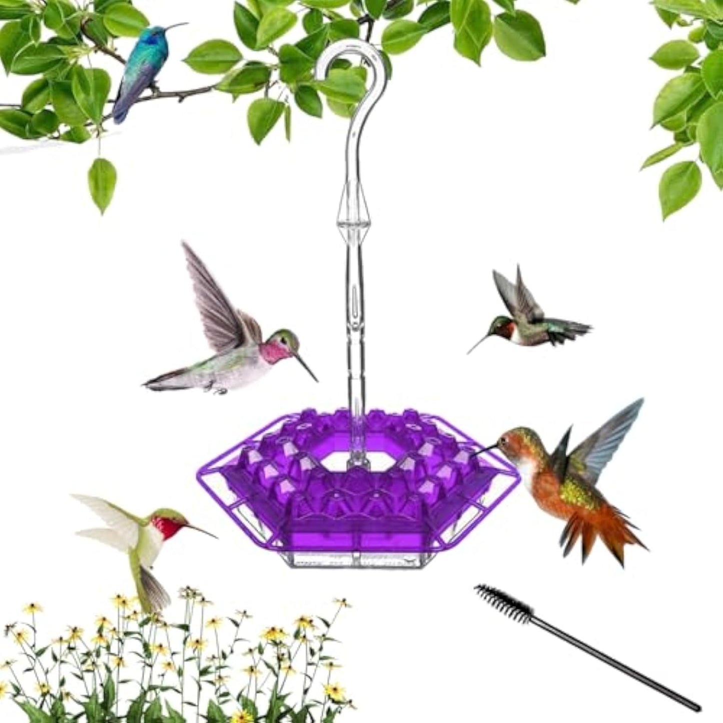 Hummingbird  Feeder