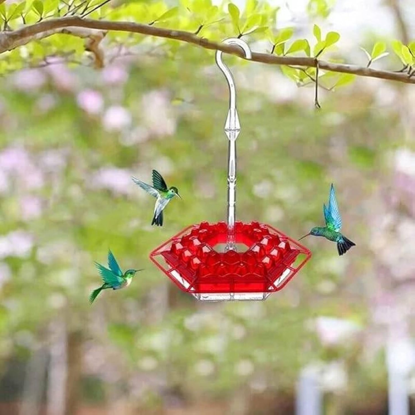Hummingbird  Feeder